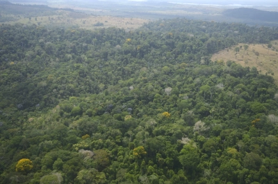 Abbildung zeigt Der Amazonas-Regenwald und die Amazonasregion sind Ökosysteme, die auf sich verändernde Niederschlagsmuster reagieren. Foto: Thomas Akabane, Universität São Paulo