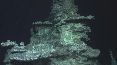 Yggrasil-Schlot. Foto: MARUM – Zentrum für Marine Umweltwissenschaften, Universität Bremen