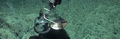 Probennahme mit dem Tauchroboter MARUM-QUEST in 620 Metern Wassertiefe im Atlantik. Foto: MARUM – Zentrum für Marine Umweltwissenschaften, Universität Bremen