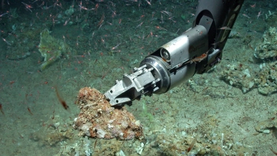 Probennahme am Ozeanboden. Foto: MARUM − Zentrum für Marine Umweltwissenschaften, Universität Bremen
