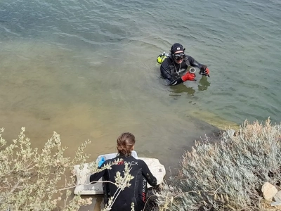 two divers water