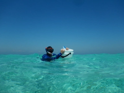 Eine Person in Schnorchelausrüstung, bestehend aus einer Tauchmaske und Schnorchel, schwimmt im türkisblauen, klaren Meerwasser. Die Person trägt ein blaues, langärmliges Shirt und hält einen weißen Eimer. Der Himmel ist strahlend blau, und die Szene vermittelt eine ruhige, sonnige Atmosphäre in einem tropischen oder subtropischen Meeresgebiet.Foto: Harald Gruber-Vodicka / Max-Planck-Institut für Marine Mikrobiologie