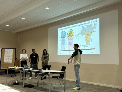 group work presentation