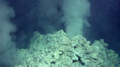 Eine Schwefelsaure Hydrothermalquellen in 270 Meter Wassertiefe am Kermadec-Bogen im Pazifik, aufgenommen mit dem Tauchroboter MARUM-QUEST während der Expedition SO253. Foto: MARUM − Zentrum für Marine Umweltwissenschaften, Universität Bremen