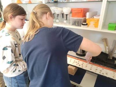 Bild 2 