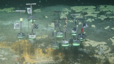 Probennahme in der Tiefsee: Mit dem bemannten Tauchroboter ALVIN haben Forschende Proben aus dem Guaymas Becken gewonnen. Foto: WHOI Alvin group