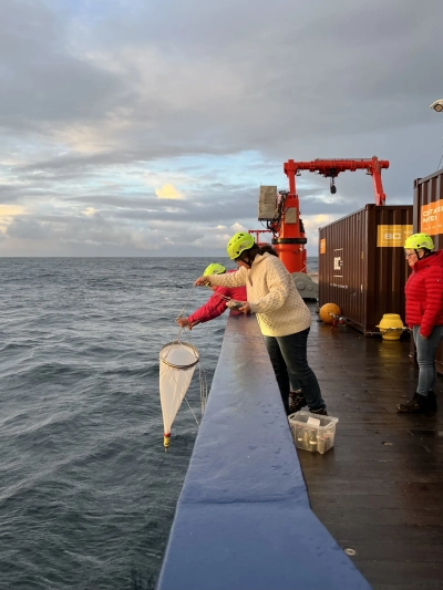 Unsere Planktonexpertin Alexandra Kraberg wirft das Planktonnetz aus.