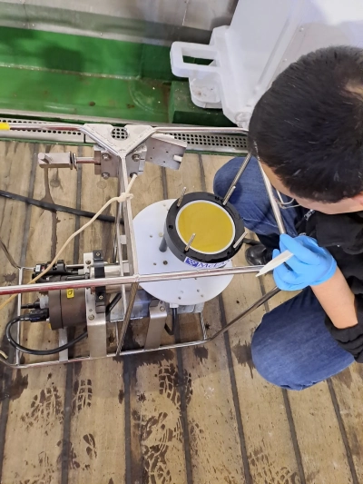 Abbildung zeigt Bingbing Wei betrachtet seinen Filter mit viel Phytoplankton aus der In-situ-Pumpe. Photo: Alice Lefebvre.