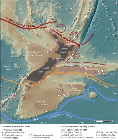 map New Zealnd