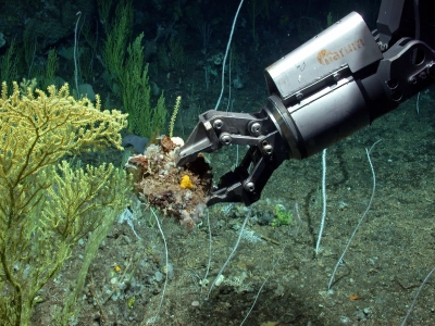 Probennahme am Ozeanboden. Foto: MARUM − Zentrum für Marine Umweltwissenschaften, Universität Bremen