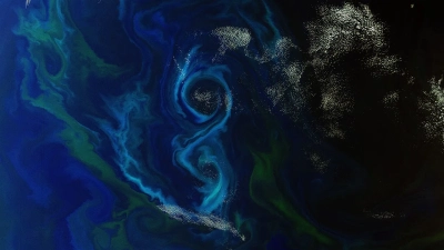 Auf diesem Envisat-Bild bildet eine Phytoplanktonblüte im Südatlantik, etwa 600 km östlich der Falklandinseln, eine Achterform. Foto: ESA 