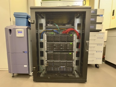 The authors used this server to reanalyze extensive data sets on the large-scale distribution of plankton-derived lipids in the ocean. Image: Weimin Liu