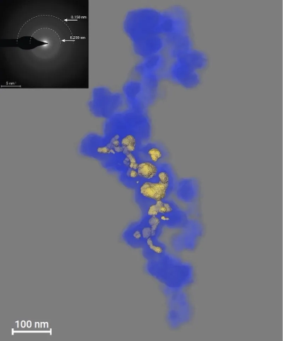 The figure illustrates Nanotomography of a hydrothermal vent nanoparticle aggregate from the Rainbow hydrothermal vent field. Inset is an electron diffraction pattern of the vent nanoparticles. (Image credit: Lotta Ternieten, Utrecht University)
