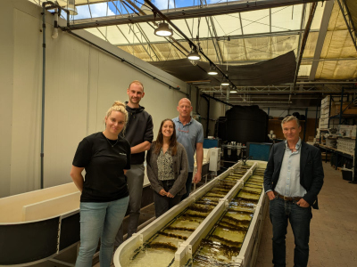Malte Ostendarp at Fundamental Systems, Hortimare and Seaweedland