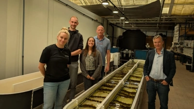 Malte Ostendarp during his Research Visit at Fundamental Systems, Hortimare and Seaweedland