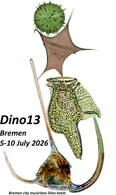 Logo Dino 13