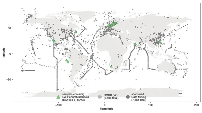 Weltkarte aller untersuchten metagenomischen Proben, die durch Short-Read-Data-Mining gewonnen wurden, mit Orten (grünes Dreieck), an denen neue Ca. Penumbrarchaeia MAGs entdeckt wurden. Abbildung aus Maeke et al. 2025 (CC BY 4.0)