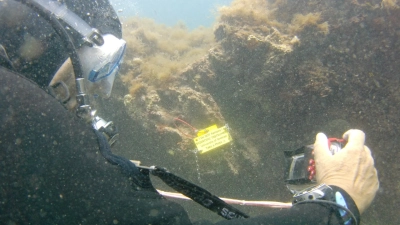 Ein Taucher vor einem BlueDOT-Sensor.Kalibrierungs-Tauchplätze sind jetzt an der Costa Brava (Spanien) und auf Gozo (Malta) eingerichtet. Foto: BlueDOT, Christophe Galerne