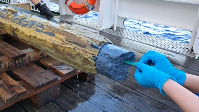 Blauer Serpentinitschlamm von einem neu entdeckten Schlammvulkan im Schwerelot. Die Proben wurden jetzt von einem Team untersucht, um die Überlebensstrategien von Mikroorganismen zu entschlüsseln. Foto: SO292/2 Expedition Science Party