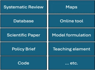 Synthesis Working Groups: Potential products.