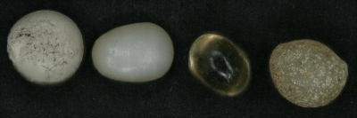 Plastic pellets under the microscope