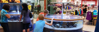 MeerErleben, Modul 1; Foto: MARUM – Zentrum für Marine Umweltwissenschaften, F. Schmieder