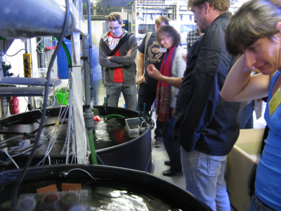 Icebreaker at ZMT - Aquarium tour