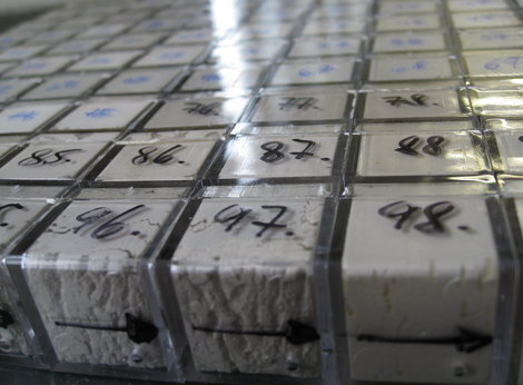 PmagCubes