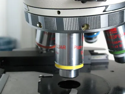 ZEISS microscope