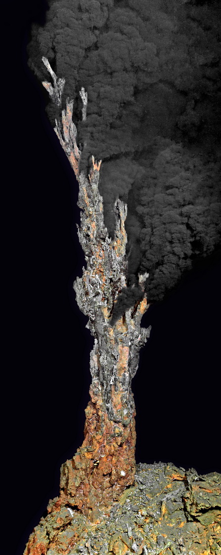 Photo aufgenommen mit dem ROV Jason 2 des WHOI, Ausfahrt MSM 04/3, Fahrtleitung C. Borowski/Max-Planck-Institut für Marine Mikrobiologie; Nachbearbeitung des obersten Bildes durch Nico Augustin/GEOMAR
