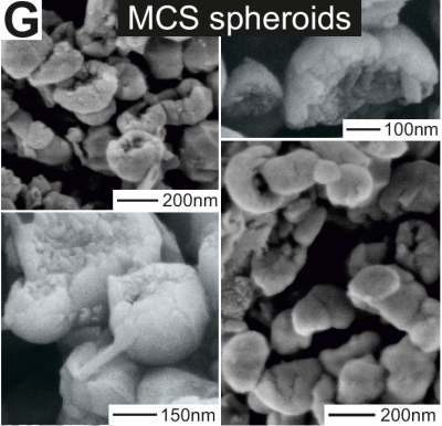 Die neue Tonmorphologie wurde zum ersten Mal entdeckt und erinnert an Pilzköpfe. Ihre Form ist wahrscheinlich der Grund für die starke Verflüssigung während des Gleitens. Foto: Geological Society of America (GSA)