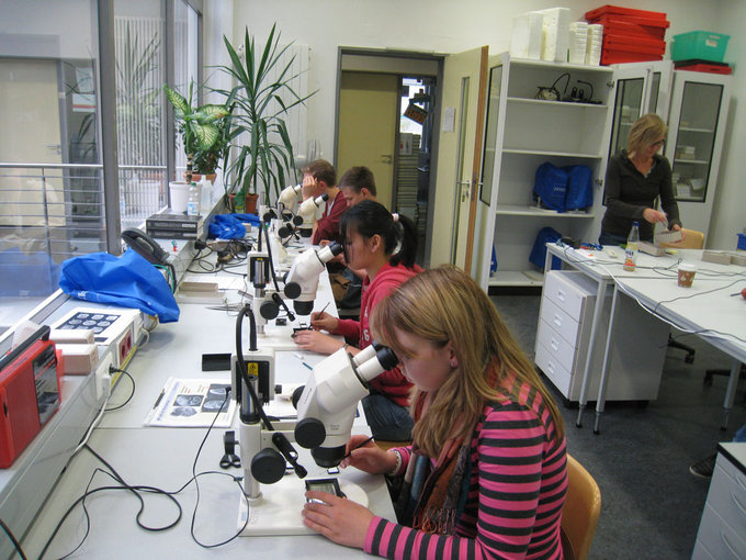 Job experience for pupils at MARUM 