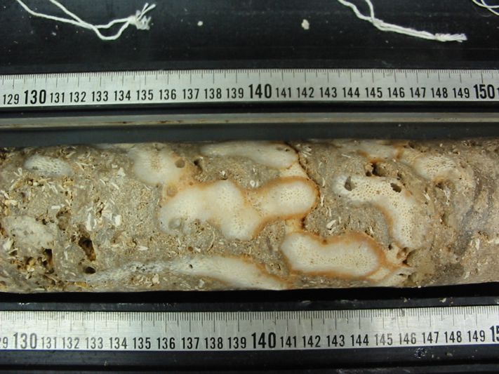 Exp. 310 (Tahiti)