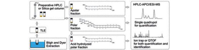 Flow chart core lipid analysis