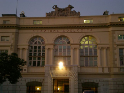 Stazione Zoologica