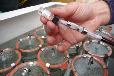 collecting samples