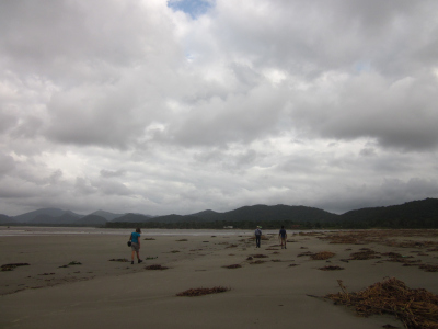 beach of Sao Paulo city