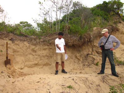 sandy dune