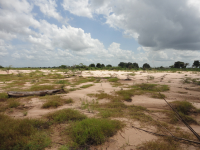 Parnaíba field trip