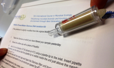 DNA Extraction Lab (Photo: Dellisanti)