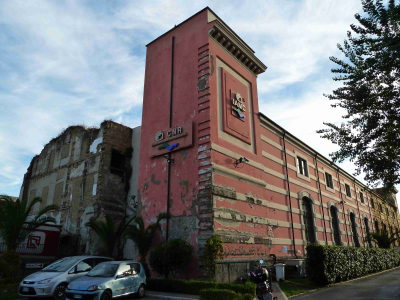 Institute