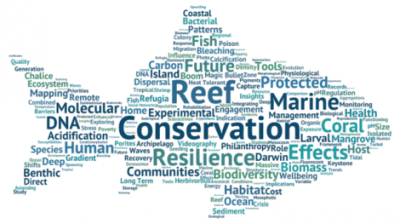 17th Reef Conservation UK