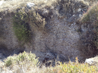 2-3m shell layer on the west coast of South Africa