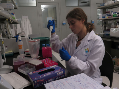 Claudia extracting DNA from coral tissue-associated bacterial communities at the Red Sea Research Center in KAUST
