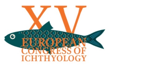 ECI XV