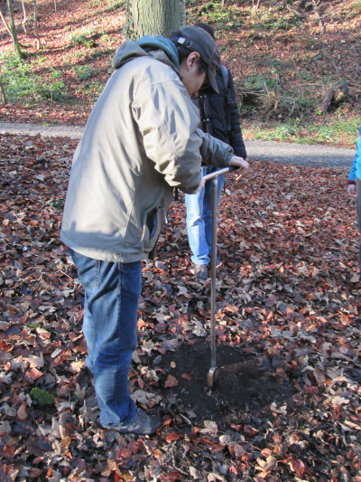 Collecting soil samples with a soil probe (photo by Thomas Blattmann)