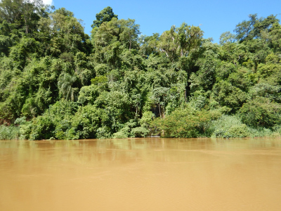 View of the river bank of Paraná (near Foz do Iguaçu)