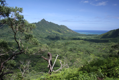 Kahana Valley